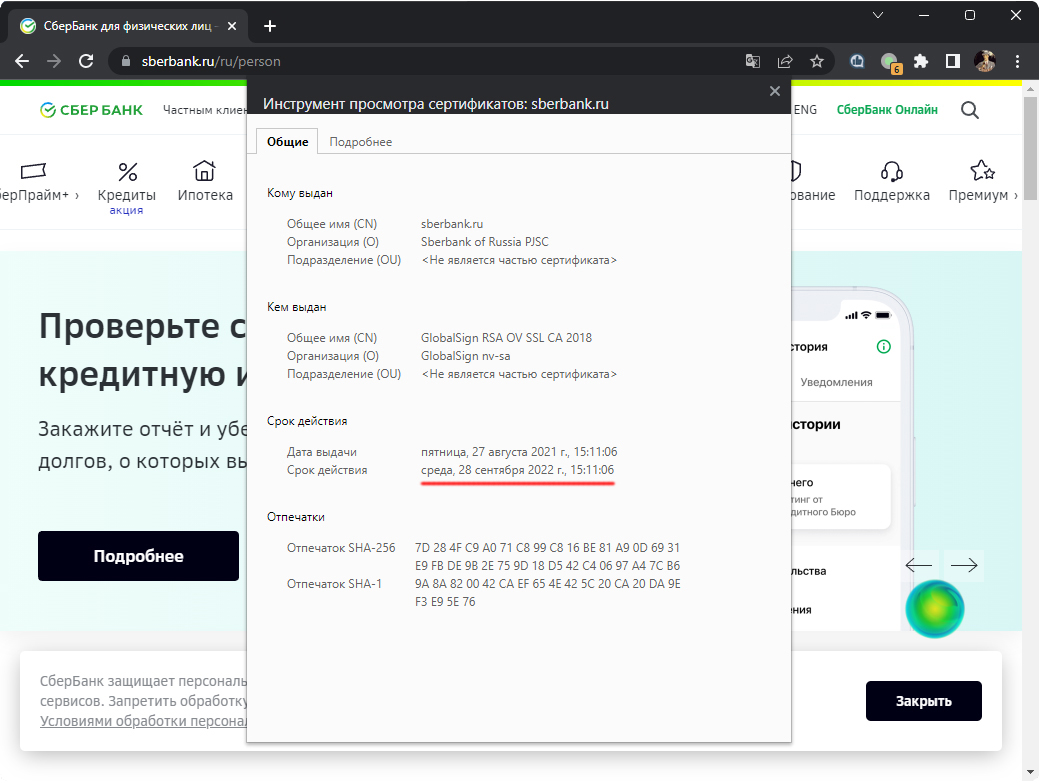 Сертификаты минцифры сбербанк для андроид. Как установить сертификаты Сбербанк. Сертификат Минцифры. Портал да Сбербанк